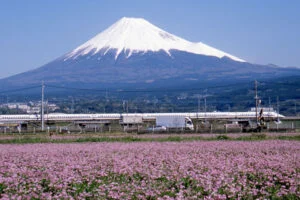 富士山と新幹線