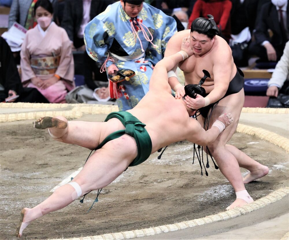 sumo