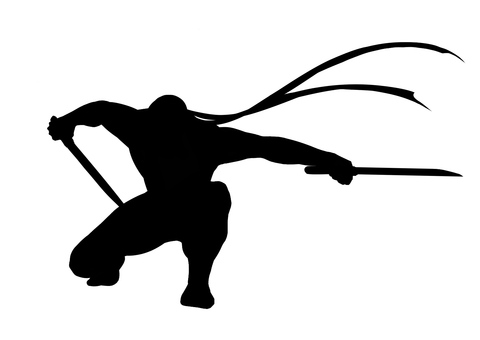 ninja-kagee